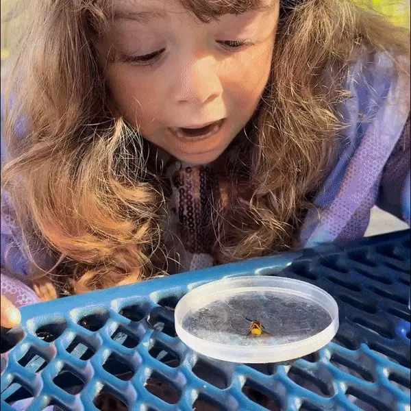 GIF Image